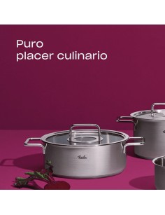 Pure Profi Batería 5 piezas Tapa Acero Fissler Fissler 398.970001