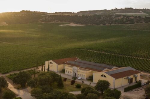 bodega en la Ribera del Duero