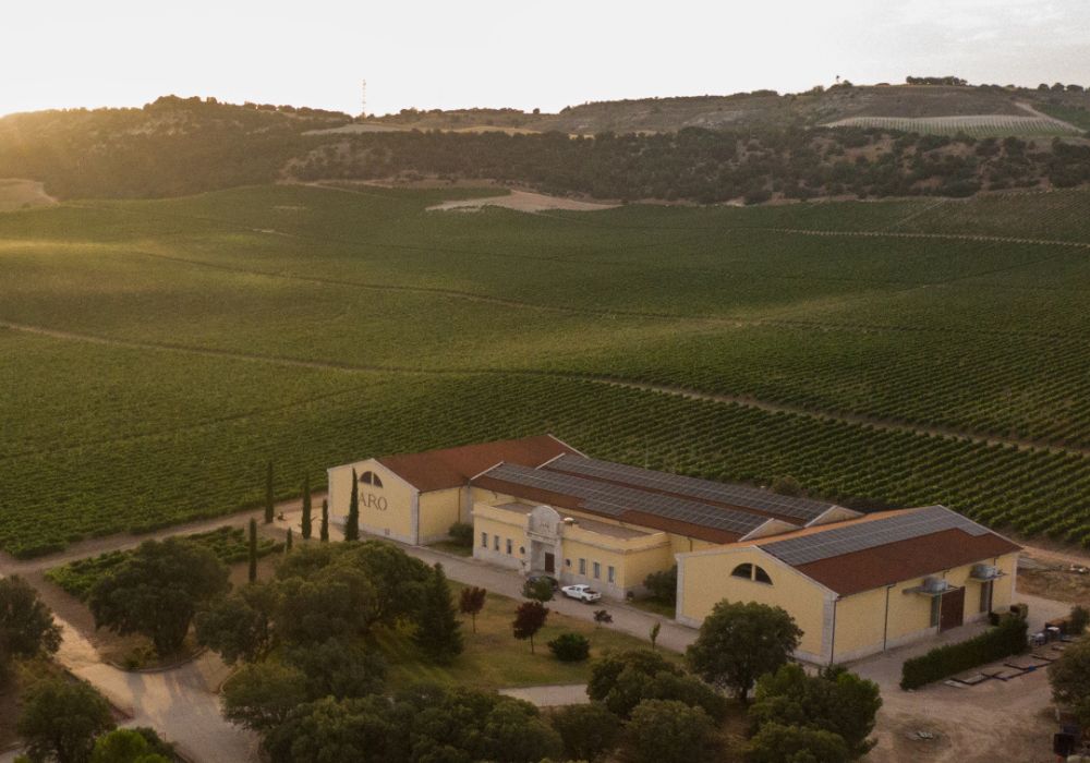 bodega en la Ribera del Duero