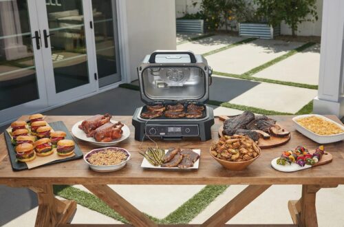 Barbacoa Ninja Woodfire Pro Xl